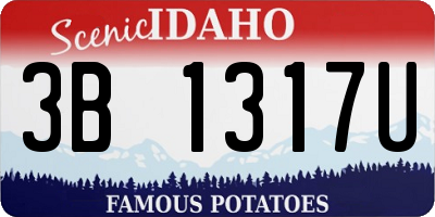 ID license plate 3B1317U