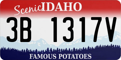 ID license plate 3B1317V