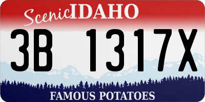 ID license plate 3B1317X