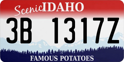 ID license plate 3B1317Z