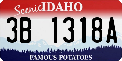 ID license plate 3B1318A