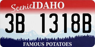 ID license plate 3B1318B