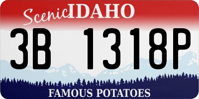 ID license plate 3B1318P