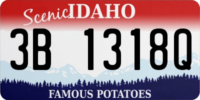 ID license plate 3B1318Q