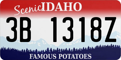 ID license plate 3B1318Z
