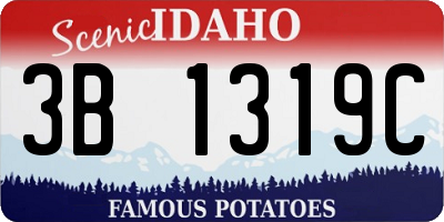 ID license plate 3B1319C