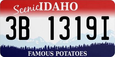 ID license plate 3B1319I