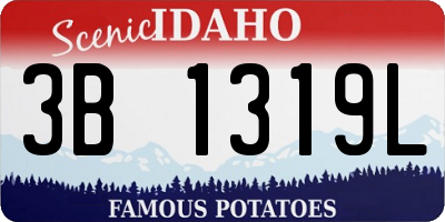 ID license plate 3B1319L