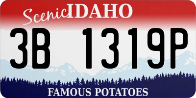 ID license plate 3B1319P