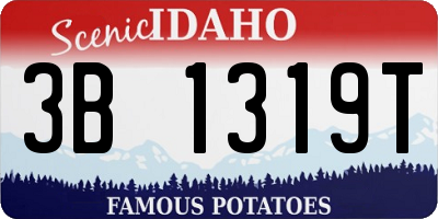 ID license plate 3B1319T