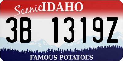 ID license plate 3B1319Z