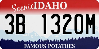 ID license plate 3B1320M