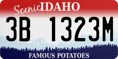 ID license plate 3B1323M