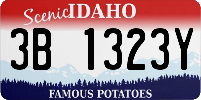 ID license plate 3B1323Y
