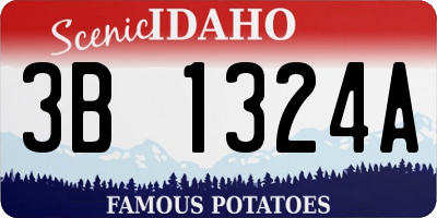 ID license plate 3B1324A