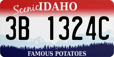 ID license plate 3B1324C