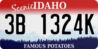ID license plate 3B1324K
