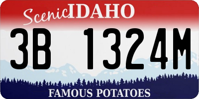 ID license plate 3B1324M