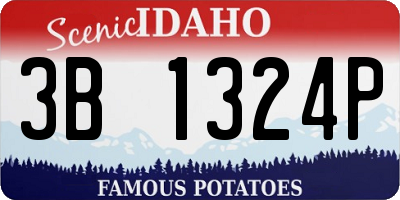 ID license plate 3B1324P