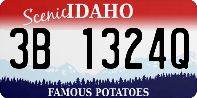 ID license plate 3B1324Q