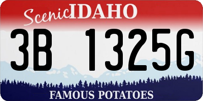 ID license plate 3B1325G