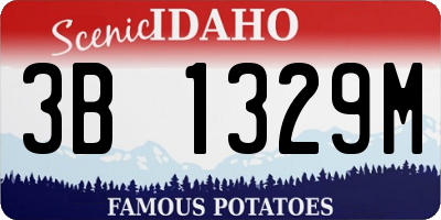 ID license plate 3B1329M