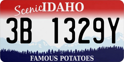 ID license plate 3B1329Y