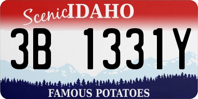 ID license plate 3B1331Y