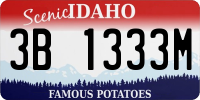 ID license plate 3B1333M