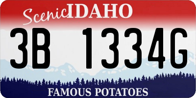 ID license plate 3B1334G