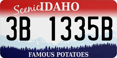 ID license plate 3B1335B