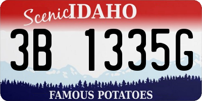 ID license plate 3B1335G