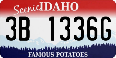 ID license plate 3B1336G