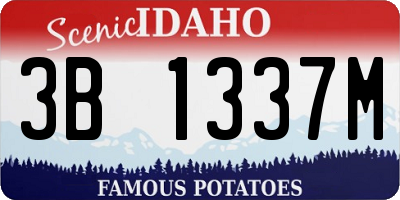 ID license plate 3B1337M
