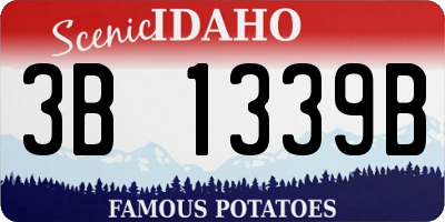 ID license plate 3B1339B