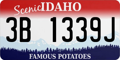 ID license plate 3B1339J