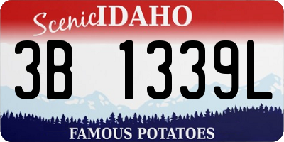 ID license plate 3B1339L