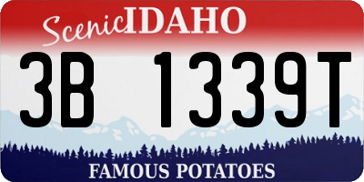 ID license plate 3B1339T