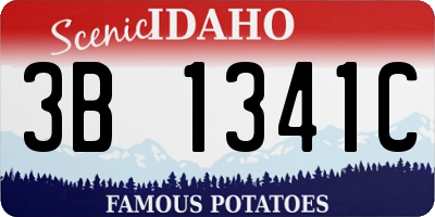 ID license plate 3B1341C