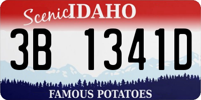 ID license plate 3B1341D