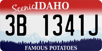 ID license plate 3B1341J
