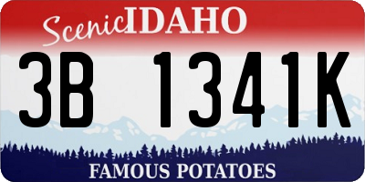 ID license plate 3B1341K