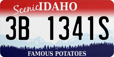 ID license plate 3B1341S