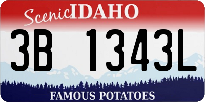 ID license plate 3B1343L