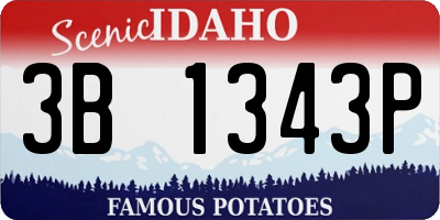ID license plate 3B1343P