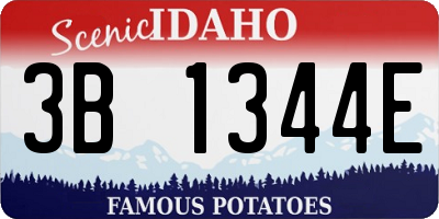 ID license plate 3B1344E