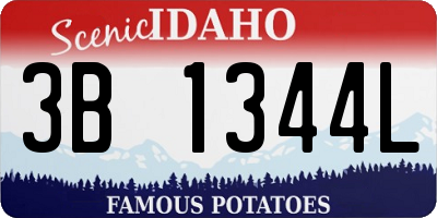 ID license plate 3B1344L