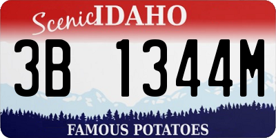 ID license plate 3B1344M