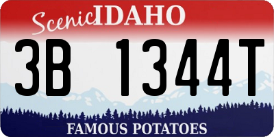 ID license plate 3B1344T