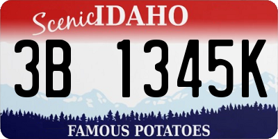 ID license plate 3B1345K